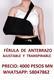 FÉRULA DE ANTEBRAZO AJUSTABLE Y TRANSPIRABLE 