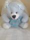 Oso de Peluche