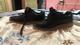Se venden zapatos